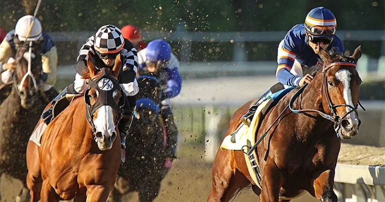 How betting on horse racing